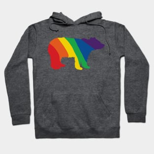 Rainbow Bear Hoodie